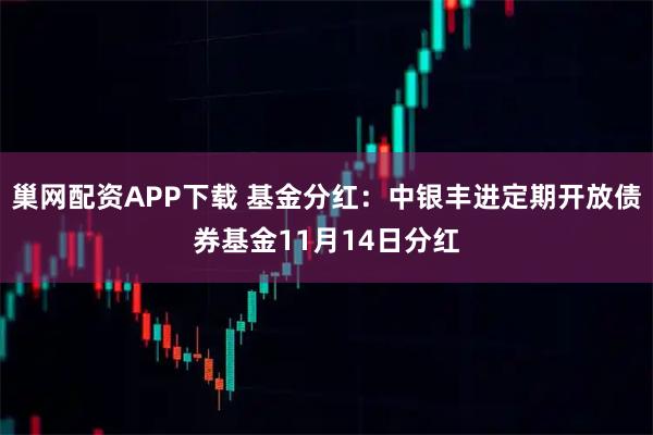 巢网配资APP下载 基金分红:中银丰进定期开放债券基金11月14日分红