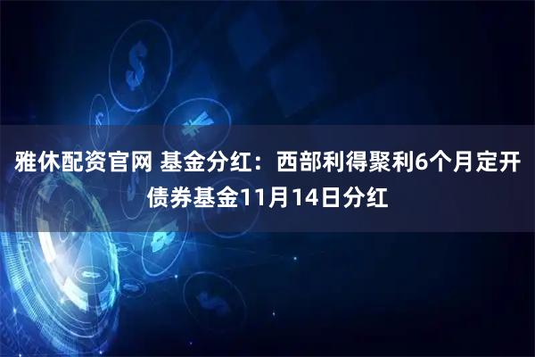 雅休配资官网 基金分红:西部利得聚利6个月定开债券基金11月14日分红