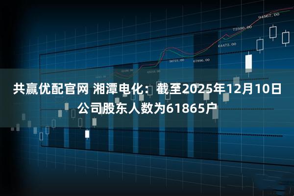 共赢优配官网 湘潭电化：截至2025年12月10日公司股东人数为61865户