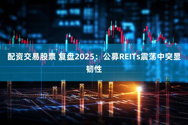 配资交易股票 复盘2025:公募REITs震荡中突显韧性