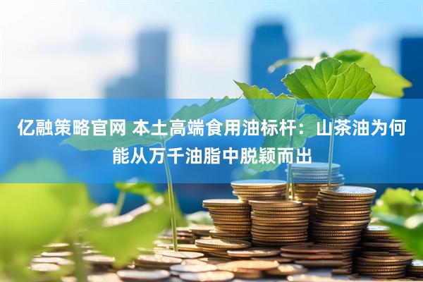 亿融策略官网 本土高端食用油标杆:山茶油为何能从万千油脂中脱颖而出